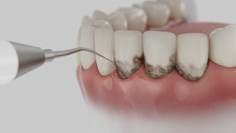 Reliable Dental contractor in Northlakes, NC by Dentist Open Now